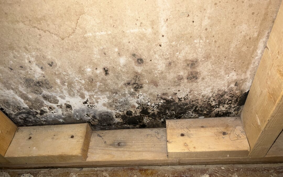 How Humidity Can Harm Your Breathing