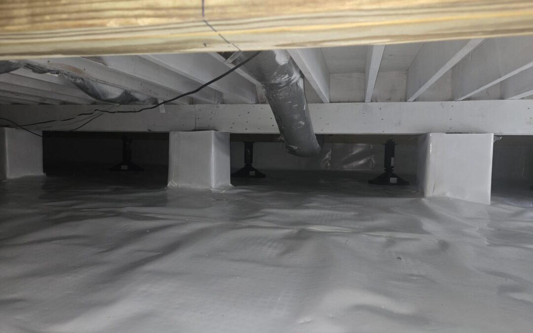 Mold Removal In The Summer