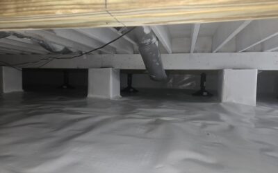 Mold Removal In The Summer
