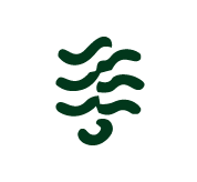 Musty odor icon