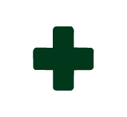 Health/allergy icon